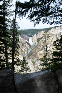 Yellowstone