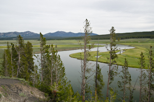 Yellowstone