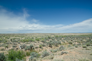 Bighorn National Forest