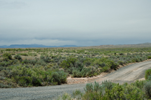 Bighorn National Forest