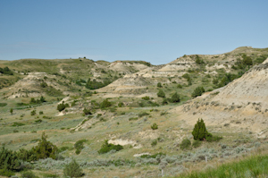 Theodore Roosevelt Natl Park