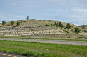 Theodore Roosevelt Natl Park