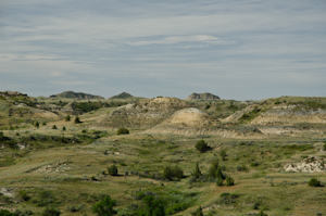 Theodore Roosevelt Natl Park