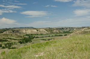 Theodore Roosevelt National Park ND