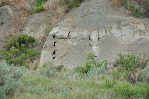 Theodore Roosevelt National Park ND