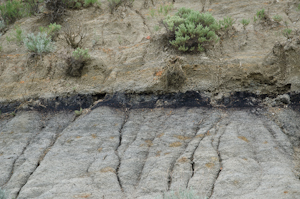 Theodore Roosevelt National Park ND