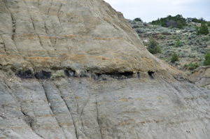 Theodore Roosevelt National Park ND