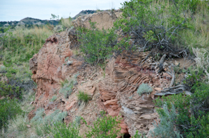 Theodore Roosevelt National Park ND