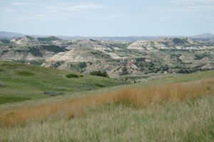 Theodore Roosevelt National Park ND