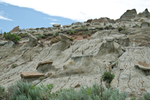 Theodore Roosevelt National Park ND