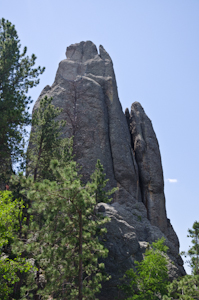 Custer State Park