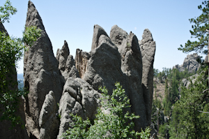 Custer State Park