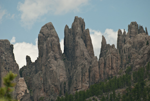 Custer State Park