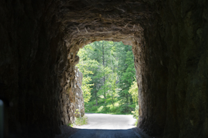 Custer State Park