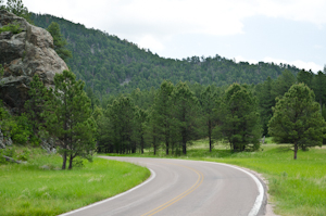 Custer State Park