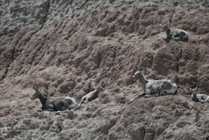 Badlands National Park