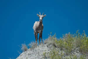 Badlands National Park