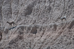 Badlands National Park