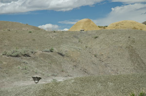 Badlands National Park