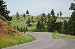 Custer State Park