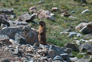 Rocky Mountain National Park