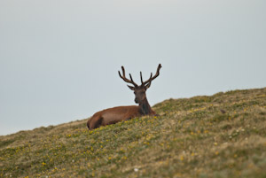 Rocky Mountain National Park