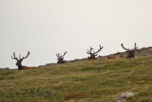 Rocky Mountain National Park