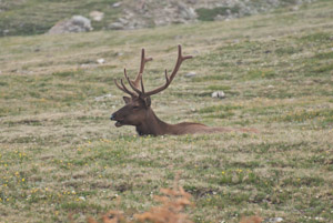 Rocky Mountain National Park