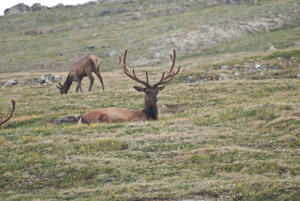 Rocky Mountain National Park