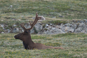 Rocky Mountain National Park