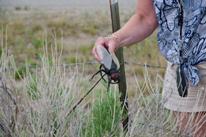 Geocaching