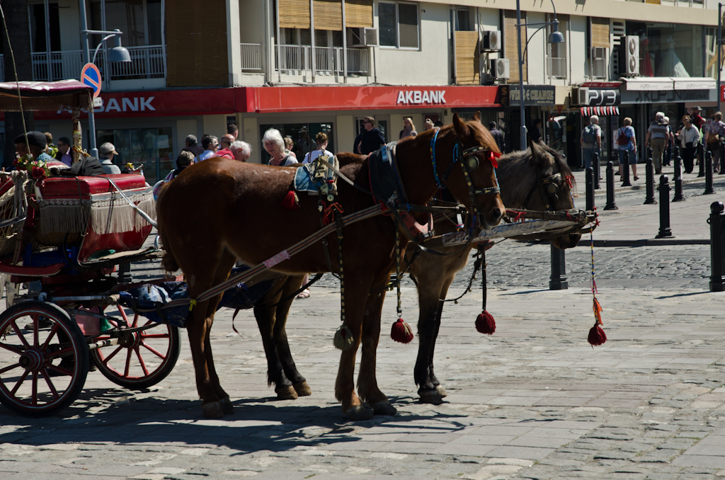 120319-105132-DSC_1229.jpg - Izmir Een fiaker