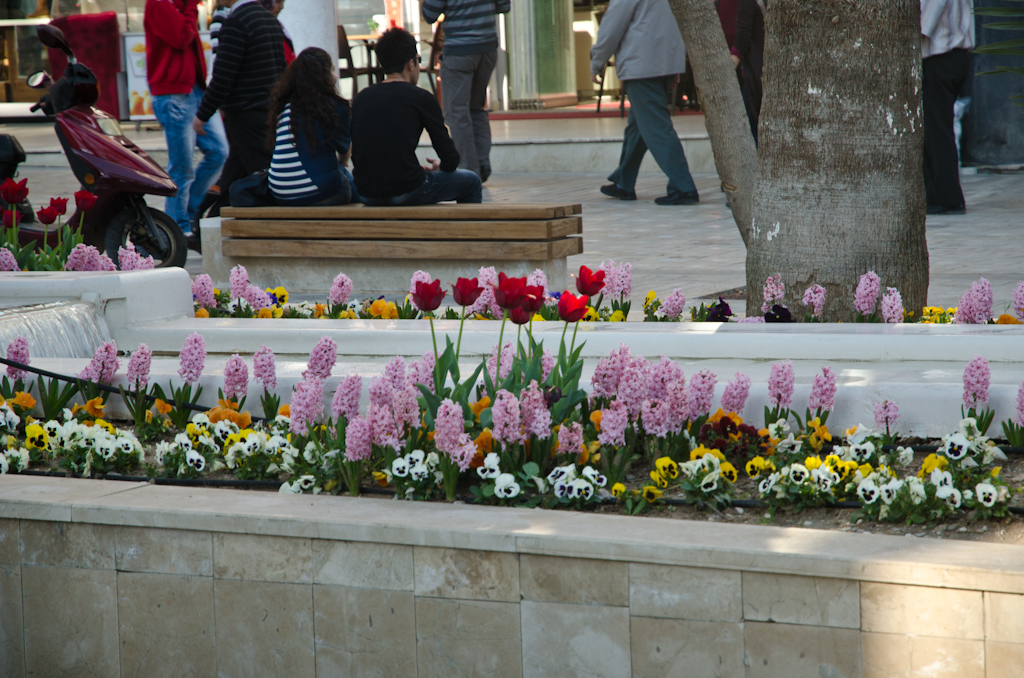 120322-150529-DSC_1607.jpg - Antalya Centrum