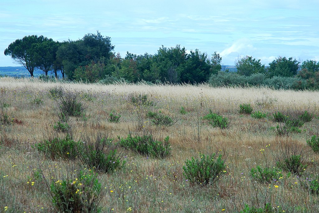 DSC_6250.JPG - Landschap bij Vendres