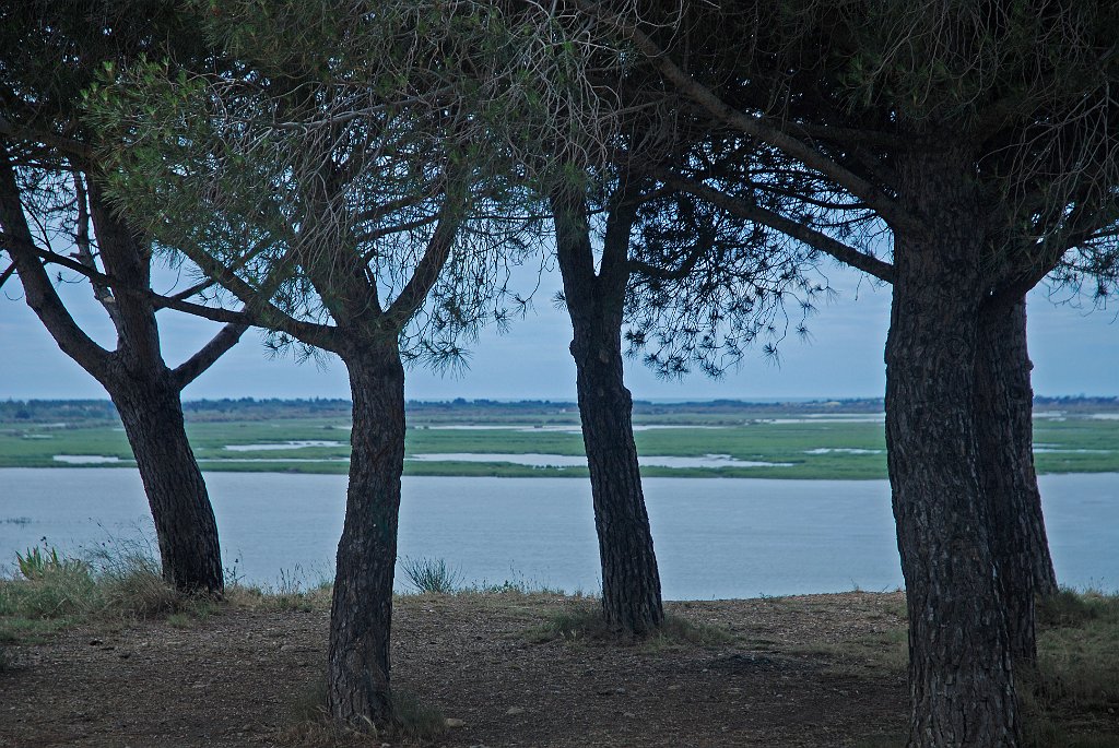 DSC_6260.JPG - Etang de Vendres