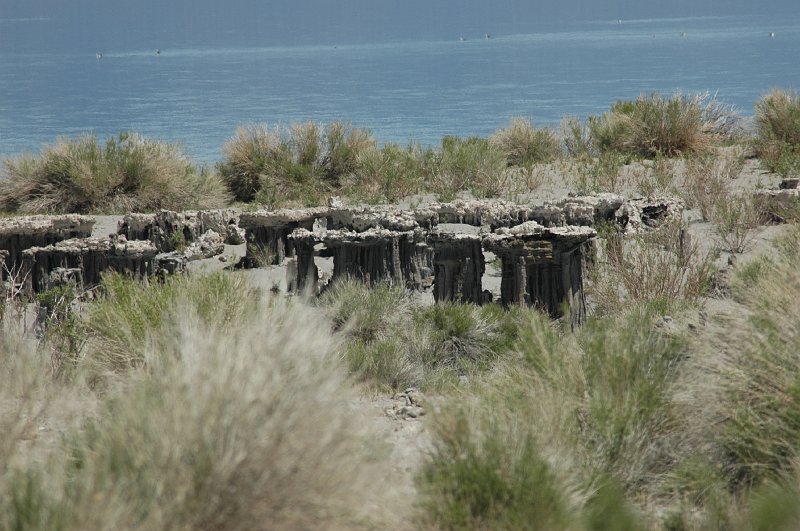 DSC_1156g.JPG - Zandtufa's Mono Lake