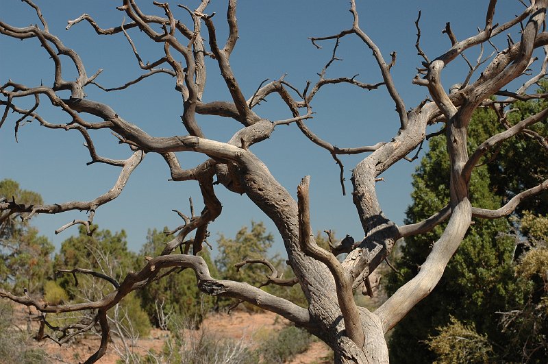 DSC_1962c.JPG - Arches National Park