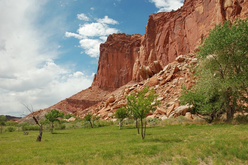 DSC_2418.JPG - Capital Reef National Park
Fruita