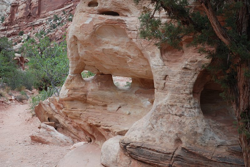 DSC_2468.JPG - Capital Reef National Park