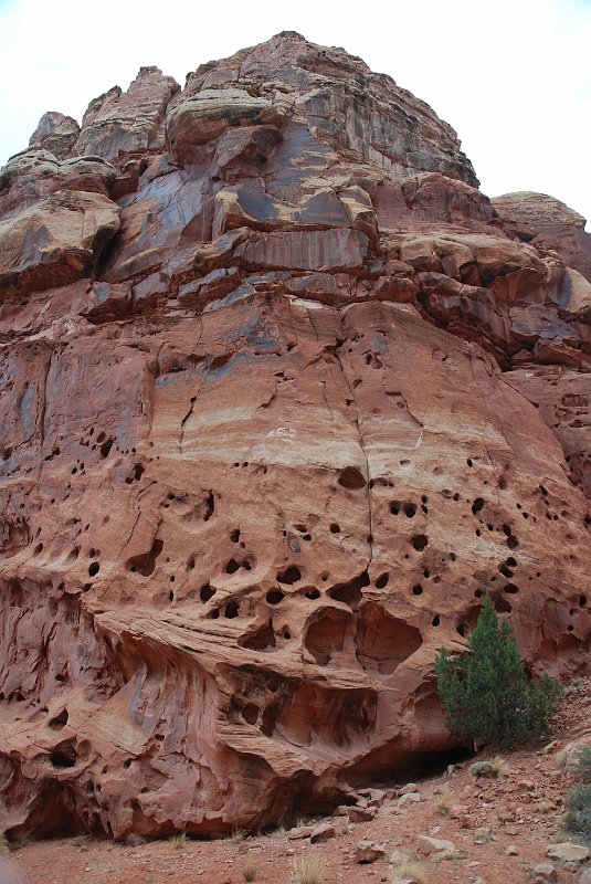 DSC_2483.JPG - Capital Reef National Park