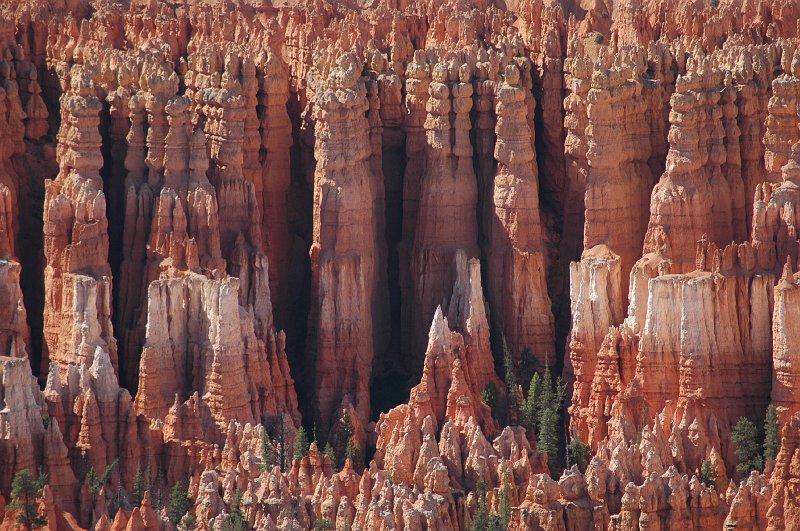 DSC_2636c.JPG - Bryce National Park