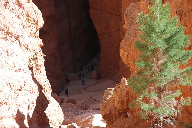 DSC_2657.JPG - Bryce National Park
Wallstreet