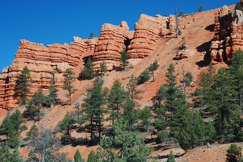 DSC_2679.JPG - Red Canyon