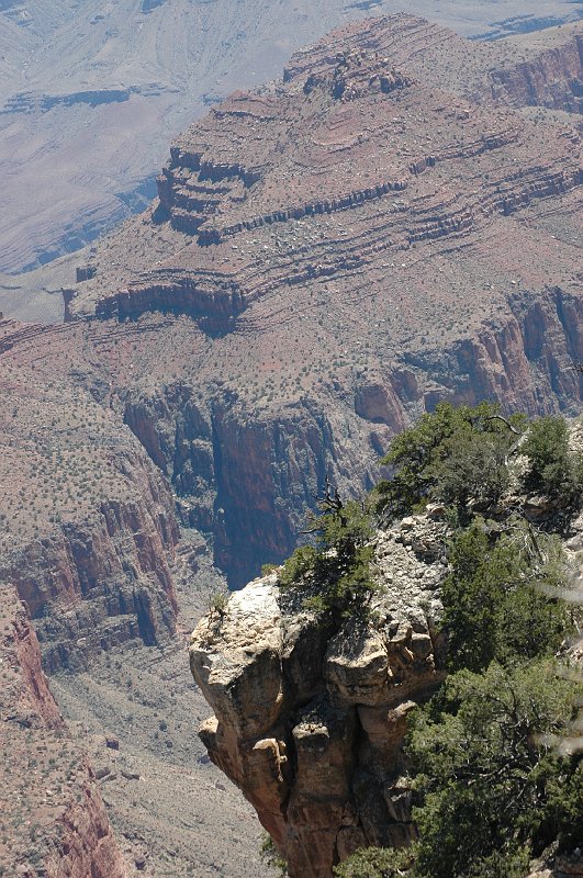 DSC_3113a.JPG - Grand Canyon North Rim