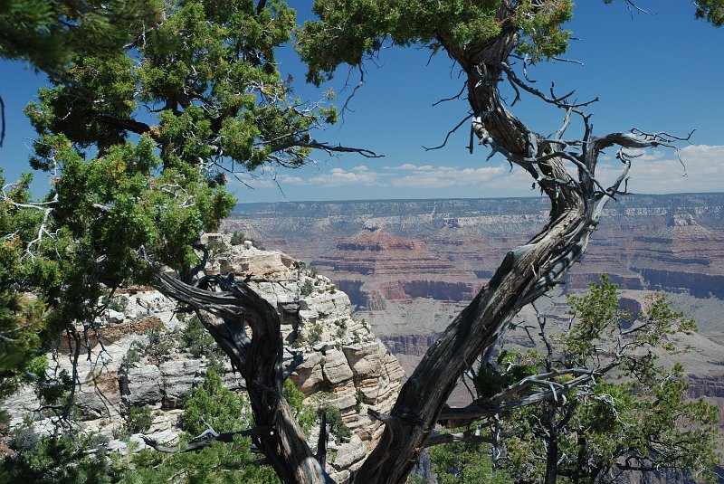 DSC_3352.JPG - Grand Canyon South Rim