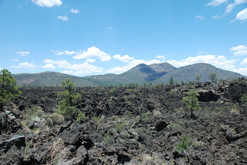 DSC_3666.JPG - Sunset Crater Volcano National Monument
Bonito Lavaflow