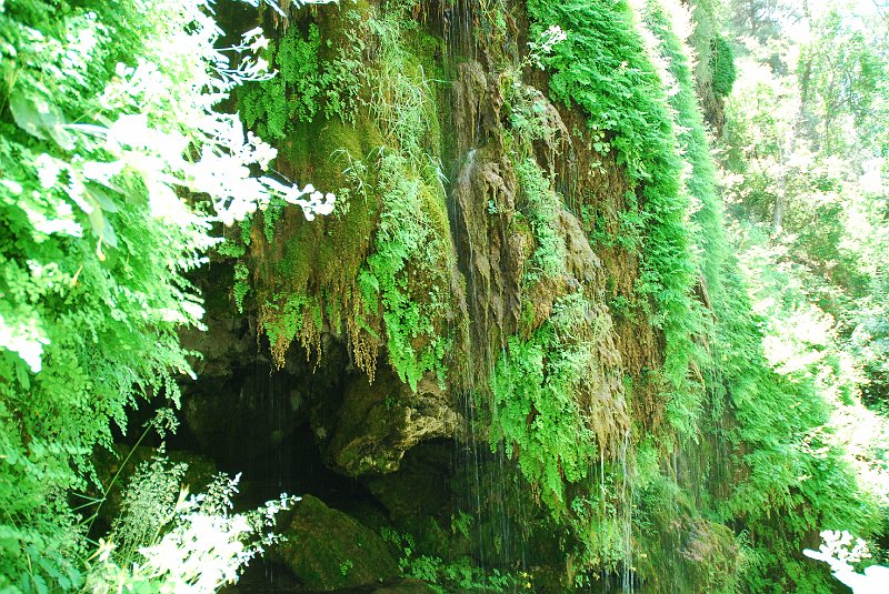 DSC_3852.JPG - Tonto Natural Bridge State Park
Waterfall trail