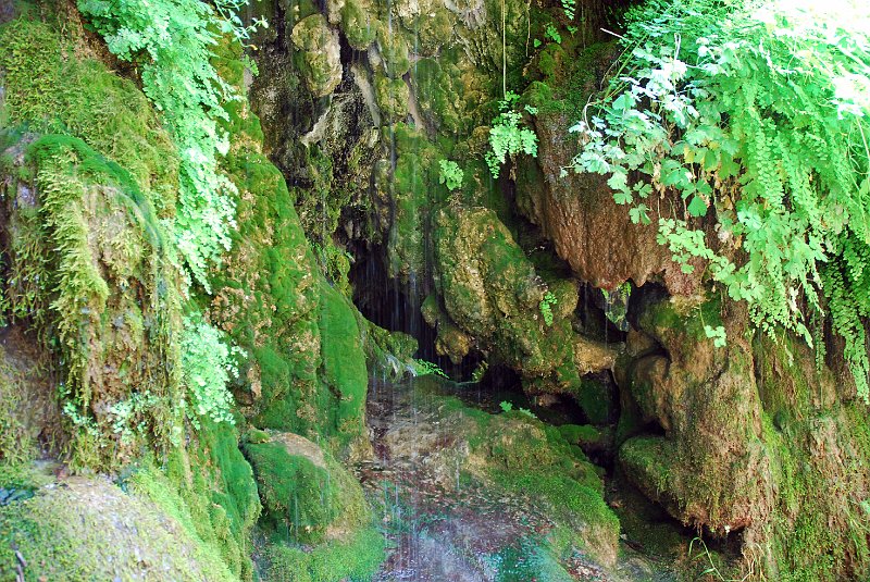 DSC_3855.JPG - Tonto Natural Bridge State Park
Waterfall trail