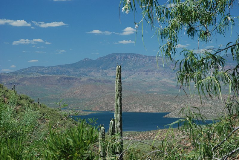 DSC_3906.JPG - Bij Roosevelt lake