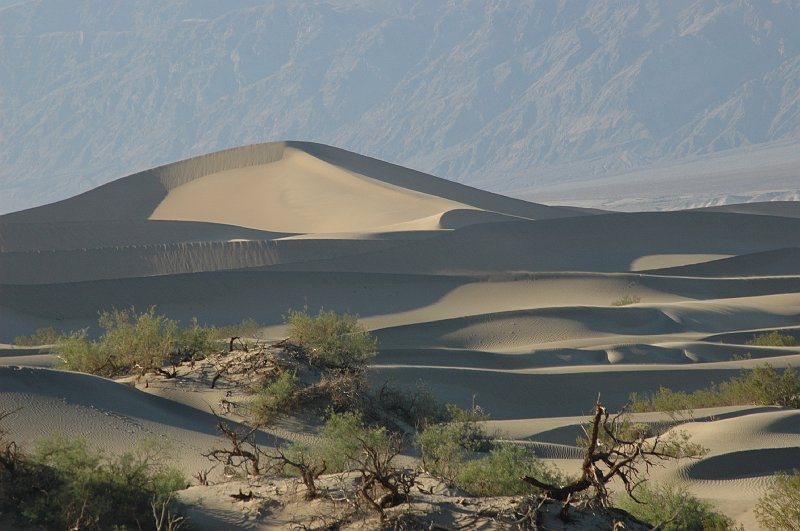 DSC_929g.JPG - Sand dunes